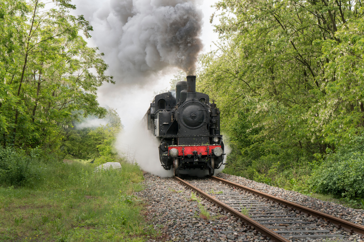 Kent & East Sussex Steam Railway.
